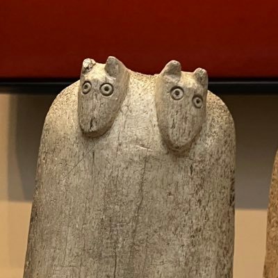 道楽に生きる限界独身男性
ボンバダ/フィンチ/ジェットセッターをこよなく愛する太公望