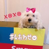 🌟ゆみもか💙❤🩷🤍💛💚 (@yhmm0313) Twitter profile photo