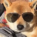 iBTrrYCzp98E6o5's profile picture. 