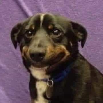 ne_osic's profile picture. 