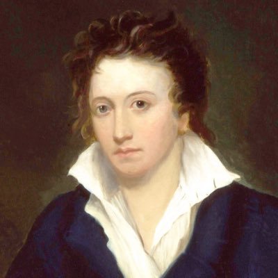 Community group in Horsham, West Sussex aiming to establish a lasting public memorial to the poet Shelley for public enjoyment, inspiration and education.