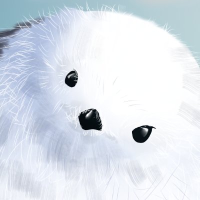 せぷとさんのプロフィール画像