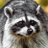 asdrt322's profile image