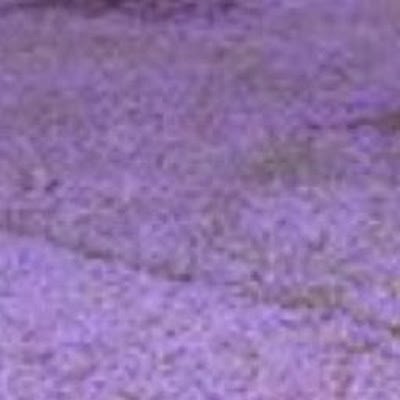 914ttttttt's profile picture. 