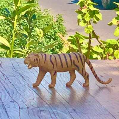 roberduran's profile picture. Empresario, amante del arte, multicultural