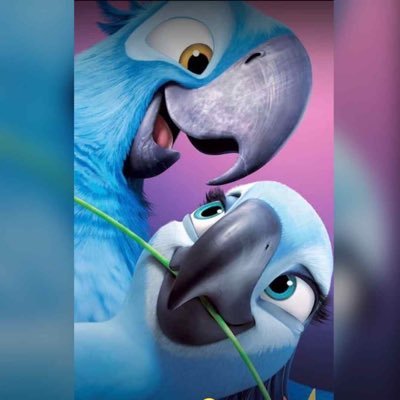 prudy__'s profile picture. Happy Child 😁😁|Economist