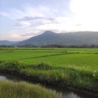 Lãnh Đại (@dailanh79) 's Twitter Profile