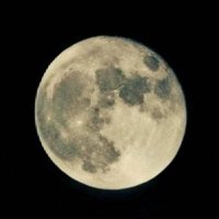 aoyuu (@aoyuu9) 's Twitter Profile Photo