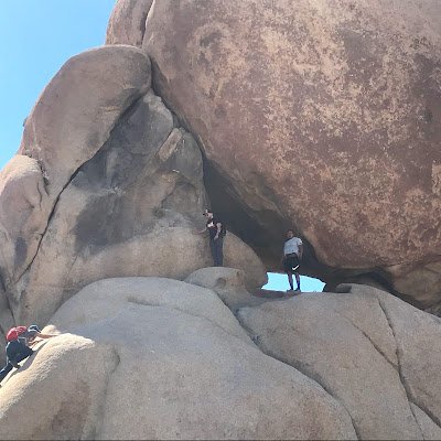 ZachMelton17's profile picture. 