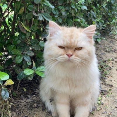 Witchaphon7's profile picture. 2002