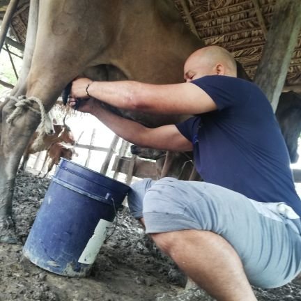 Llanero Pata en el Suelo 🐎🐄🐃
Amante de la Lectura
Poeta y Cursi
🇻🇪 Tierra Bonita
Padre de 2 Príncipes Hermosos