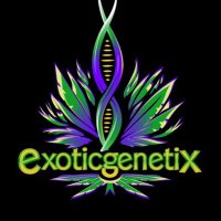 Exoticgenetix(@exoticgenetix) 's Twitter Profile Photo