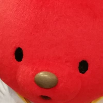 好きなグループがいくつかあり
それぞれ心動かされる瞬間があるだけで、
誰でも大好きなわけではないと
弁明させてください…。