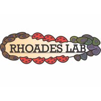 Rhoades Research Lab (@julierhoadeslab) 's Twitter Profile