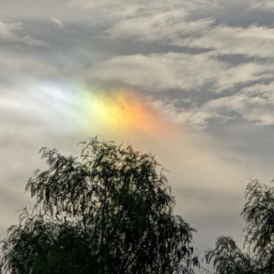 CarolMcCool23's profile picture. I Am Spirit in a Human vehicle.