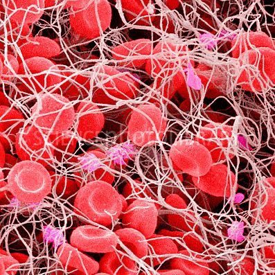 demini_17's profile picture. 