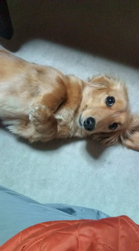 touran1972's profile picture. 