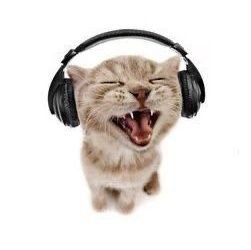 tina / meowski ☆さんのプロフィール画像