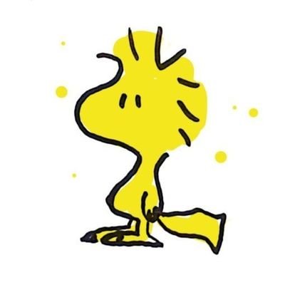 sasasadadaiii Profile Picture