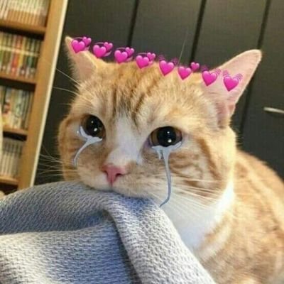 cayy_o's profile picture. happy happy happy🤏