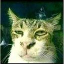 Rose Raymond - @RoseRay95052621 - Twitter