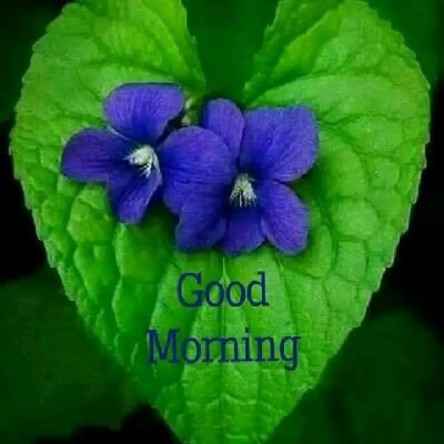 geethas12345's profile picture. Read this? Now go do your work