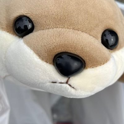 2022/8/28 水の森 新宿院にて二重埋没  すみません半年に1回ほどの浮上です。