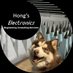 Hong's Electronics 🇺🇸⏦⎓⎎⎍⏚ (@electronicsbyjh) Twitter profile photo Hong's Electronics 🇺🇸⏦⎓⎎⎍⏚ (@electronicsbyjh) Twitter profile photo