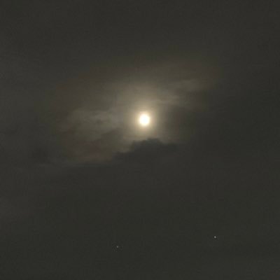 aidenlee501's profile picture. 
