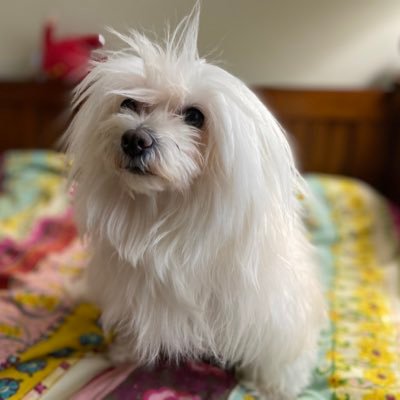 GaspoweR's profile picture. RIP Dad (1958-2020) - UBEC 🇵🇭 - FGC