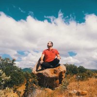 Panthera Tigris Virgata (@virgatatigris) Twitter profile photo