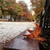 ورقة خريف🍂 (@wrqtkhryf5) Twitter profile photo ورقة خريف🍂 (@wrqtkhryf5) Twitter profile photo