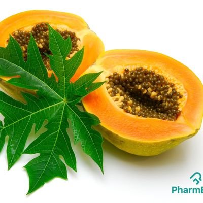 _Governess's profile picture. 