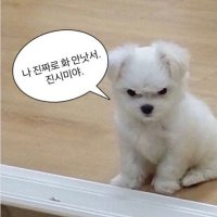 ํ๊ฒฝ๐ (@idwindchime) 's Twitter Profile Photo ํ๊ฒฝ๐ (@idwindchime) 's Twitter Profile Photo