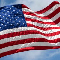 Ann (@alink1413) 's Twitter Profile