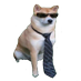 Rysiu 🇵🇱 (@graf_irl) Twitter profile photo Rysiu 🇵🇱 (@graf_irl) Twitter profile photo