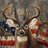 j_luna1386's profile image