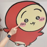 沖たん (@okitan_py) 's Twitter Profile