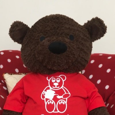 BertieBear13 Profile Picture