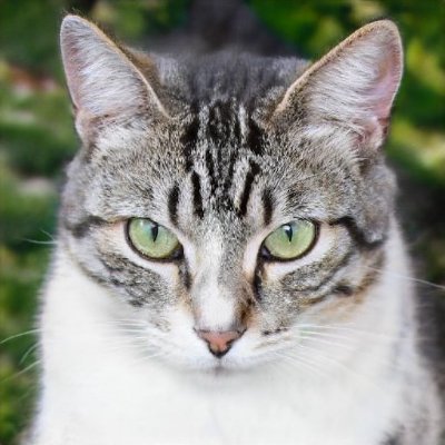 Marlina_pee's profile picture. Hollipaii