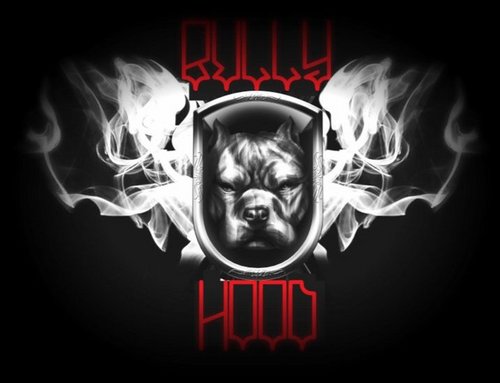 TheBullyHood's profile picture. Your Bully Media Hub