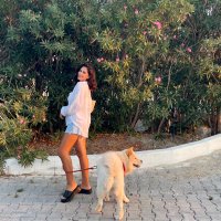 📍 (@ciceksngl) Twitter profile photo