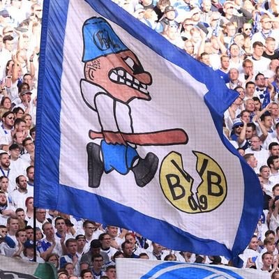 JulianK_S04's profile picture. 