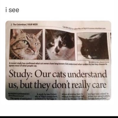 sunsetsincali's profile picture. 