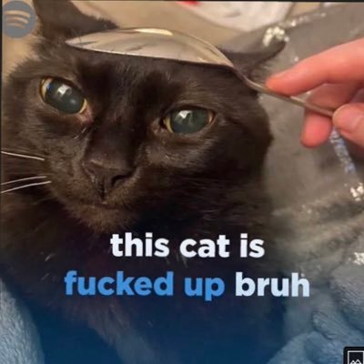 Pablito07010's profile picture. bruh