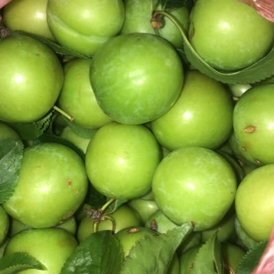 Davut449284's profile picture. 