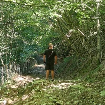 ksukun's profile picture. 