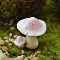 shroom_vvitch (@shroom_vvitch) 's Twitter Profile