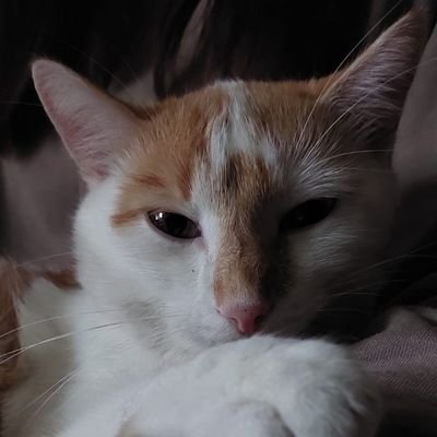 nike_scar's profile picture. ☆ Linkin Park ~ korean music