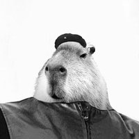 CheGueBara (@cheguebara7) 's Twitter Profile Photo CheGueBara (@cheguebara7) 's Twitter Profile Photo